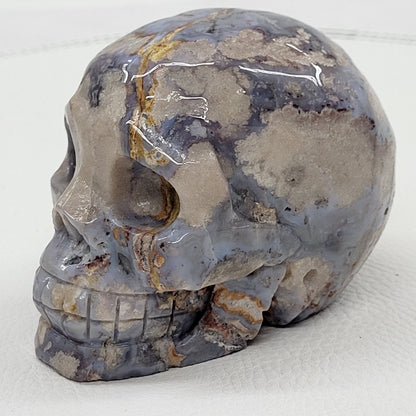 Blue Flower Agate skull