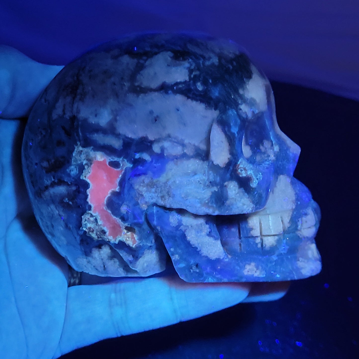 Blue Flower Agate skull