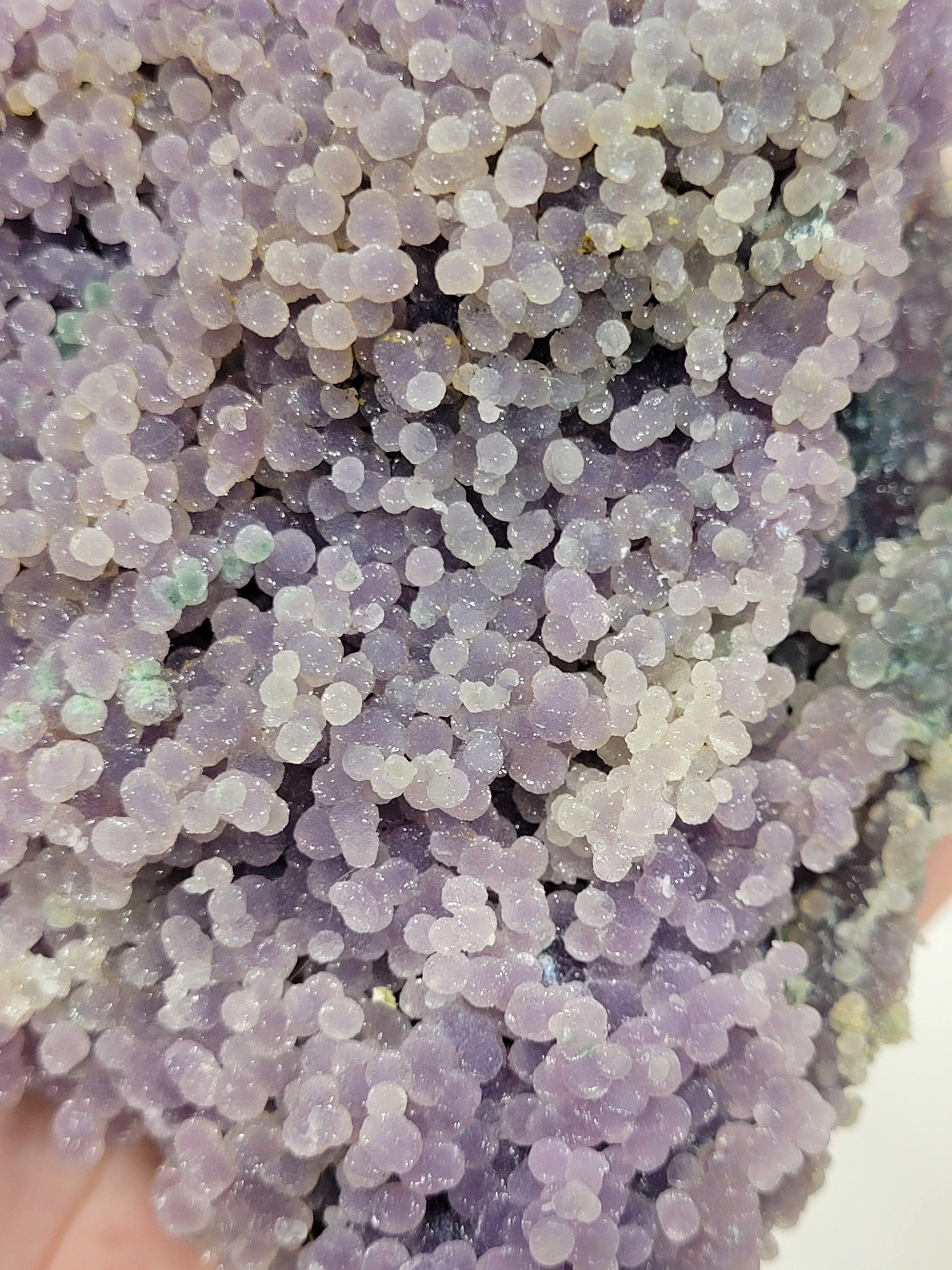 Grape Agate raw specimens