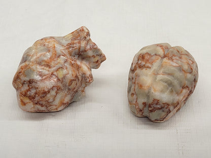 Anatomical heart & brain - Red Vein Jasper