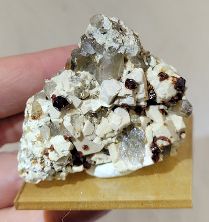 Garnet and Smoky Quartz on Feldspar