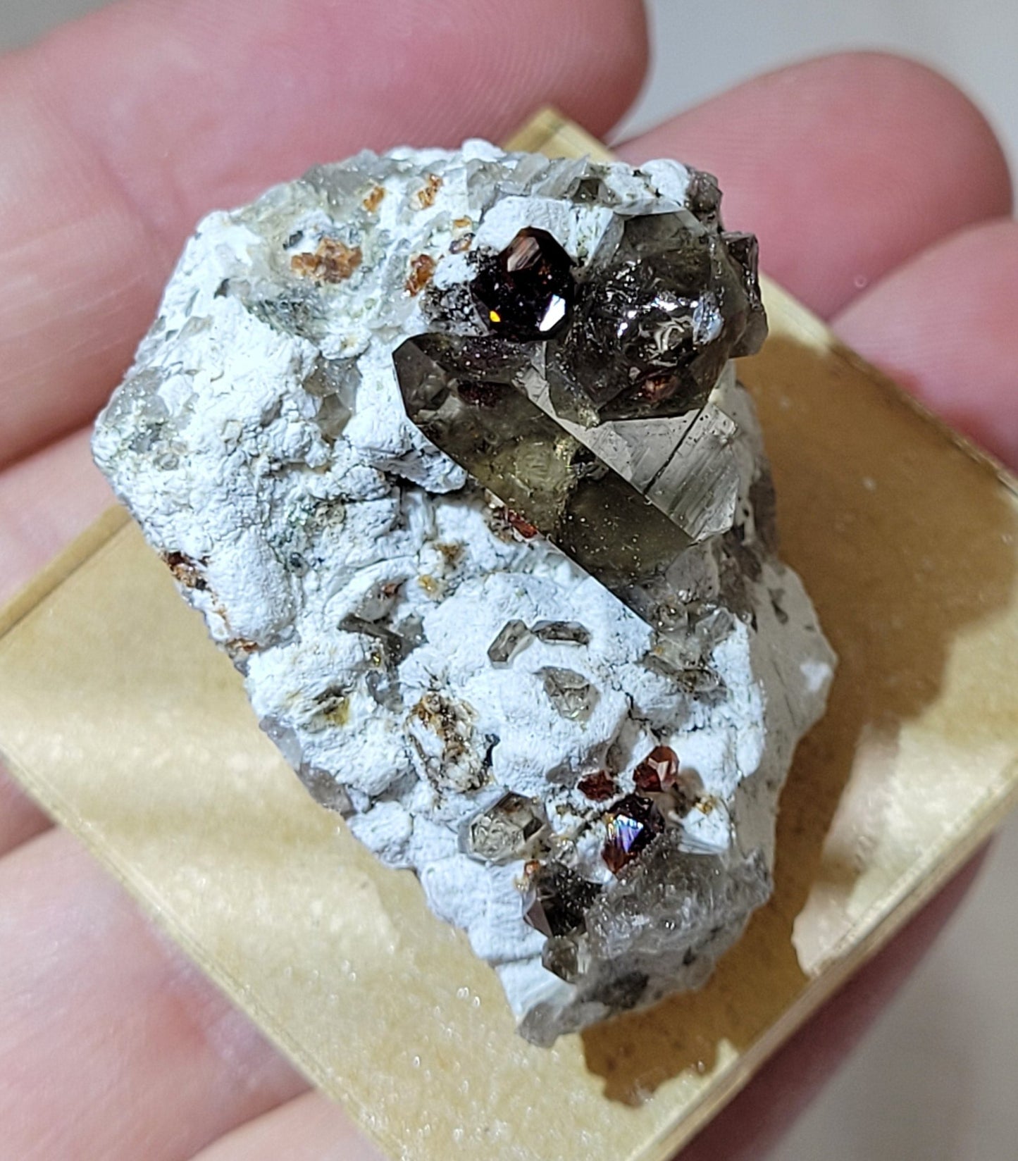 Garnet and Smoky Quartz on Feldspar