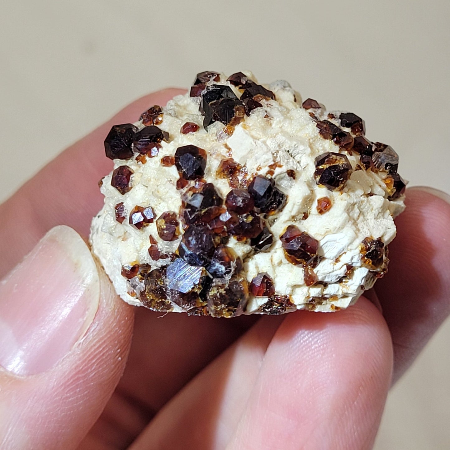 Garnet and Smoky Quartz on Feldspar