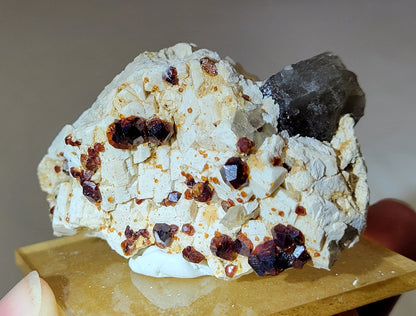 Garnet and Smoky Quartz on Feldspar