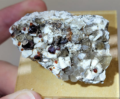 Garnet and Smoky Quartz on Feldspar