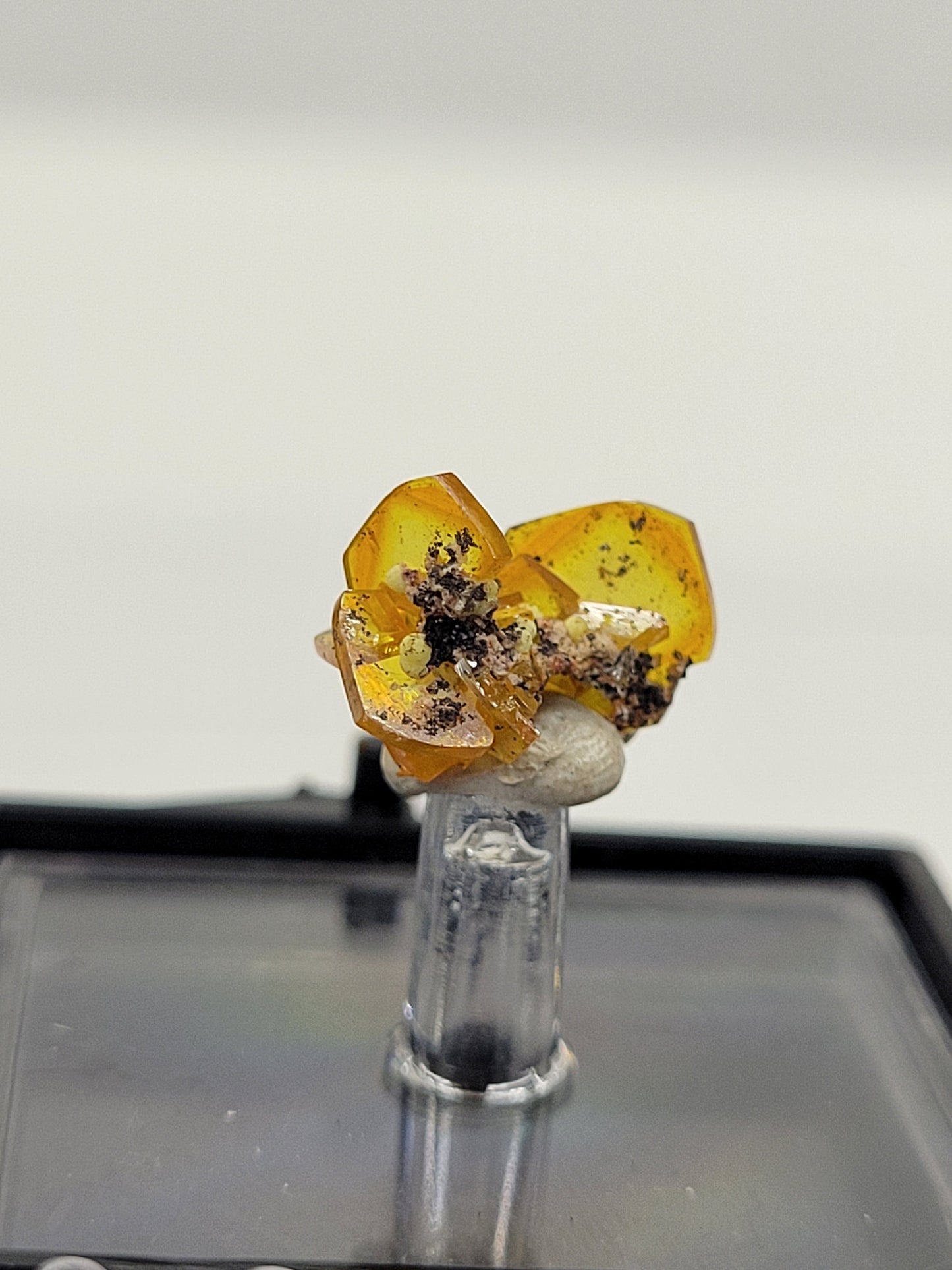 Wulfenite on Mimetite thumbnails