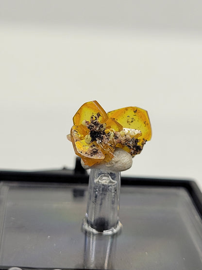 Wulfenite on Mimetite thumbnails