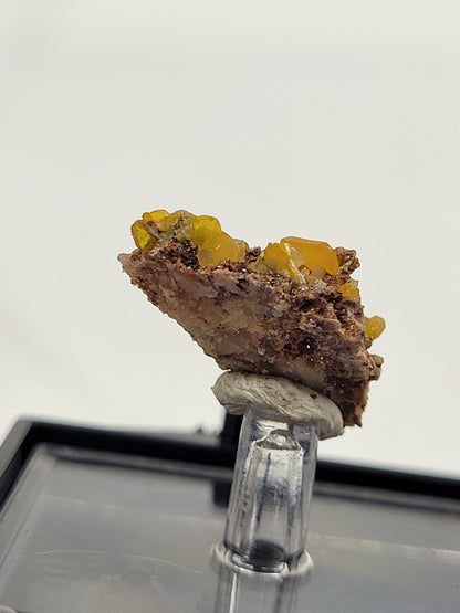 Wulfenite on Mimetite thumbnails