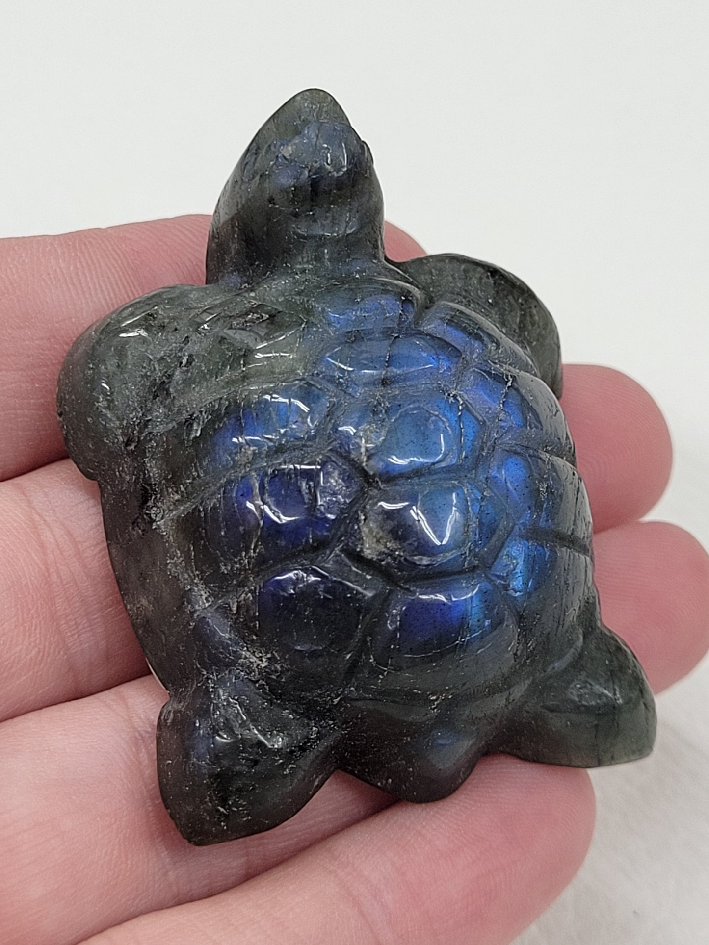 Turtle - Labradorite (medium)