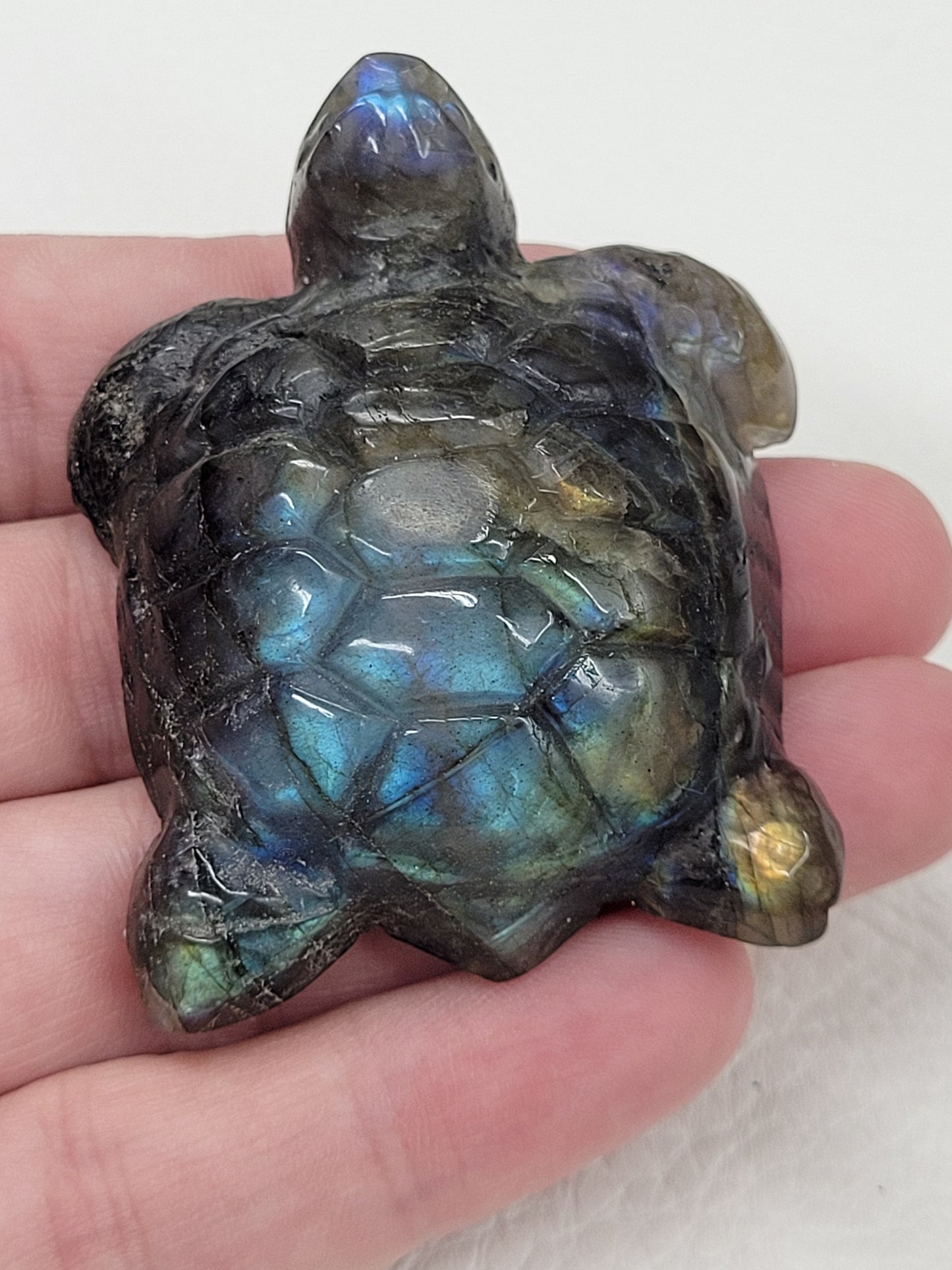 Labradorite turtle