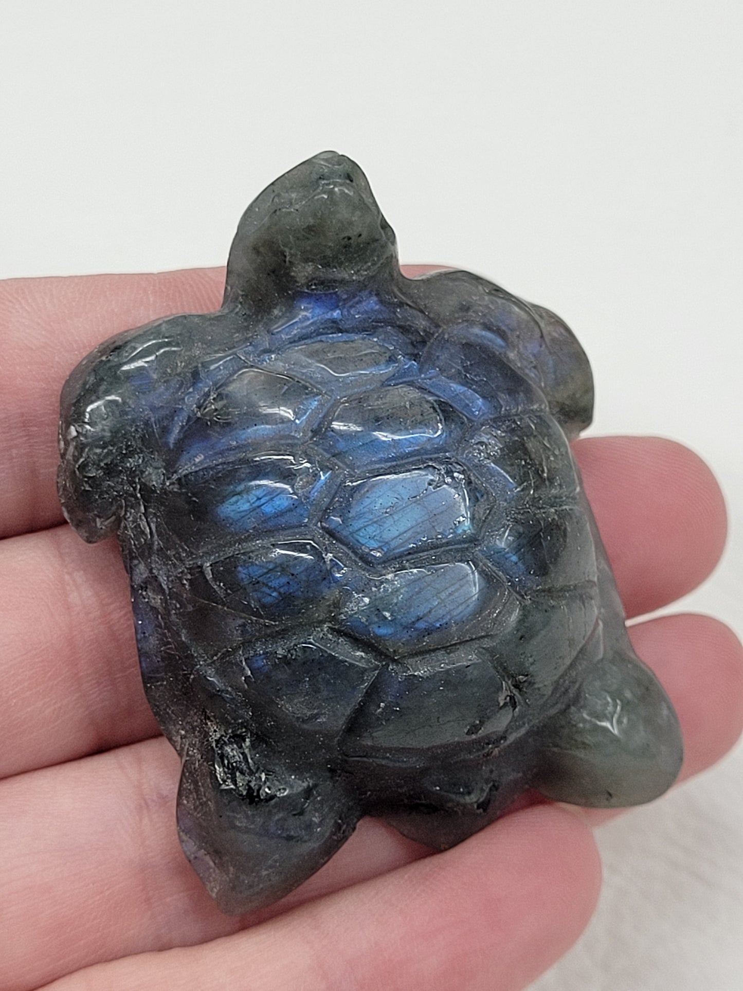 Turtle - Labradorite (medium)