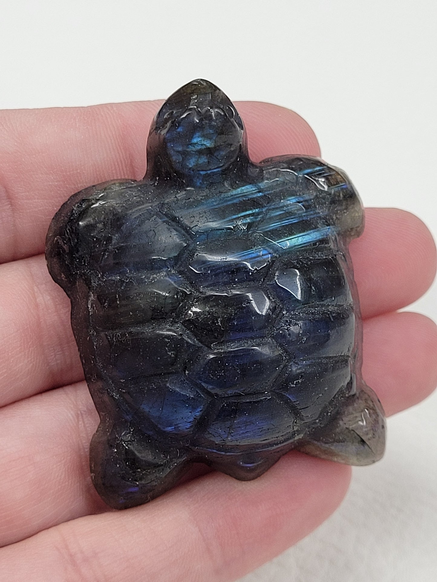 Labradorite turtle