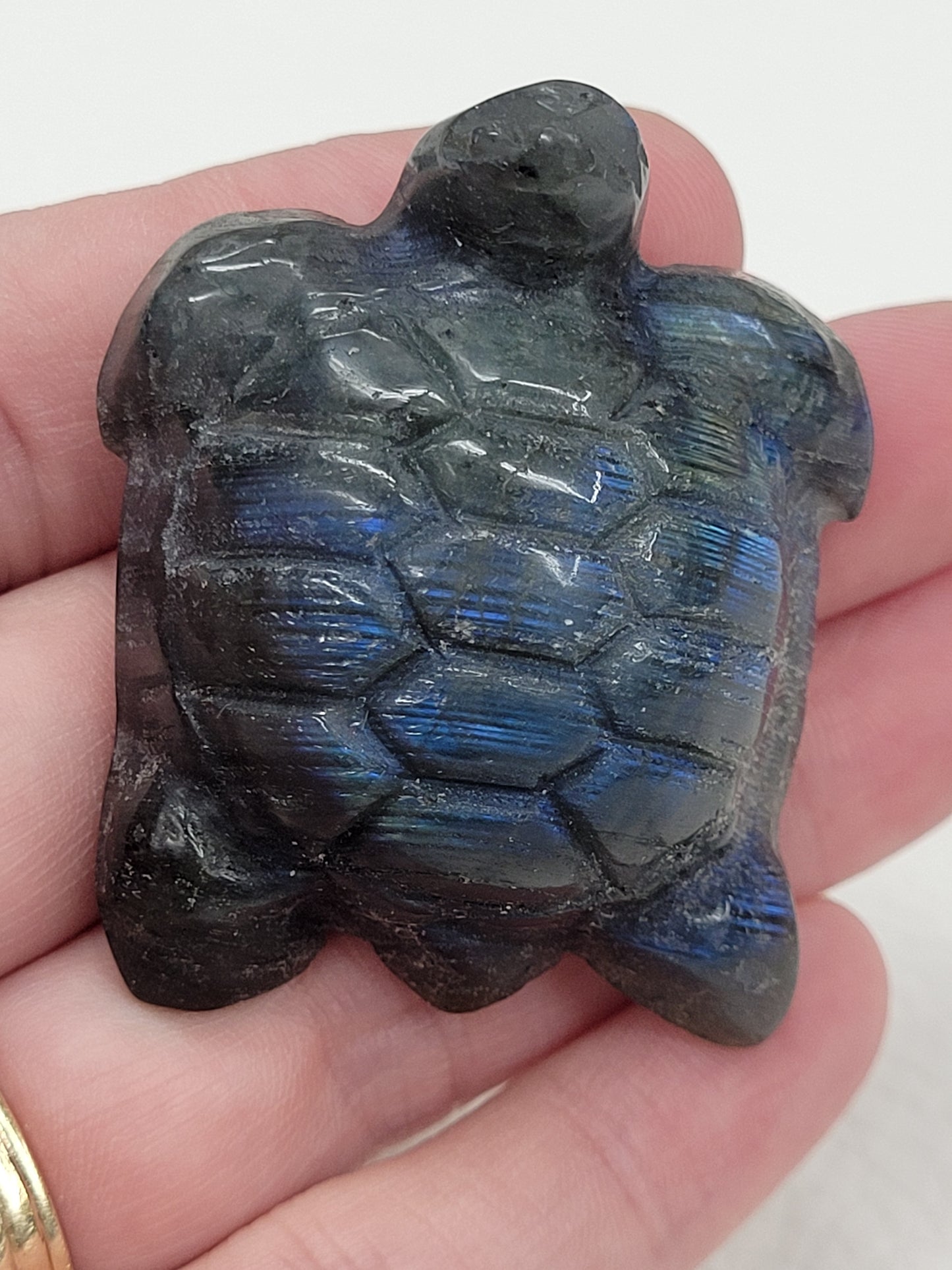 Labradorite turtle