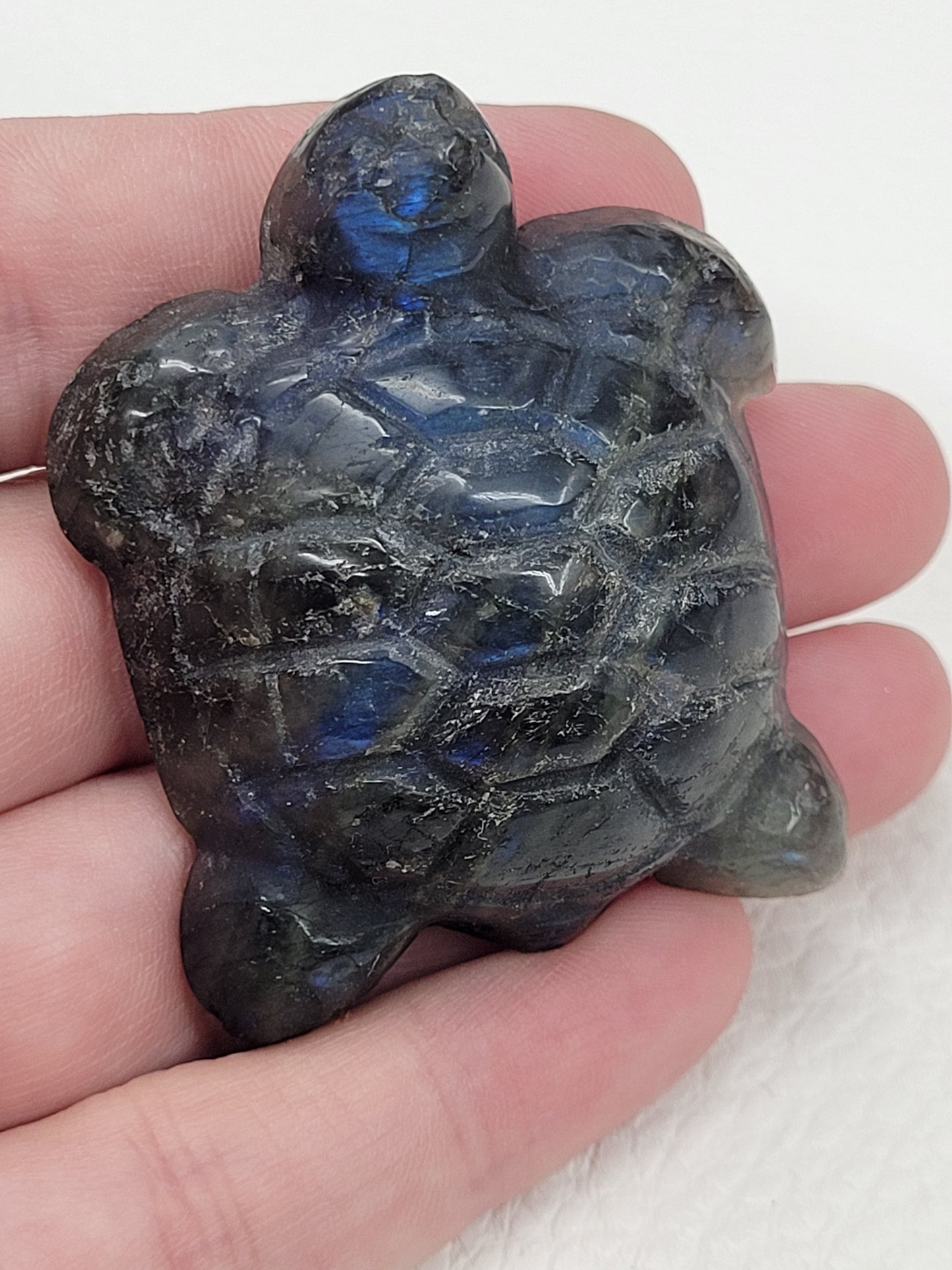 Labradorite turtle