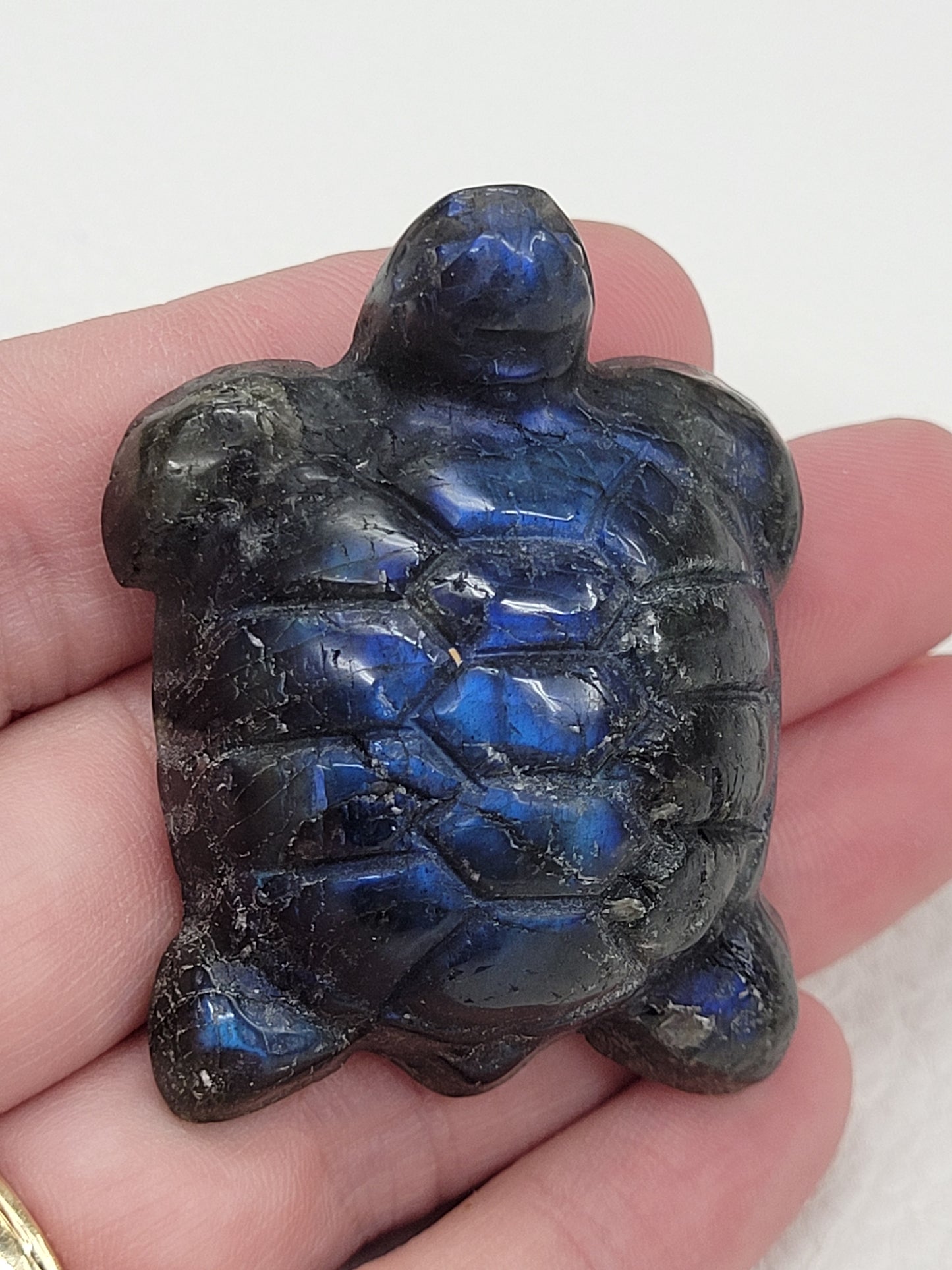 Turtle - Labradorite (medium)