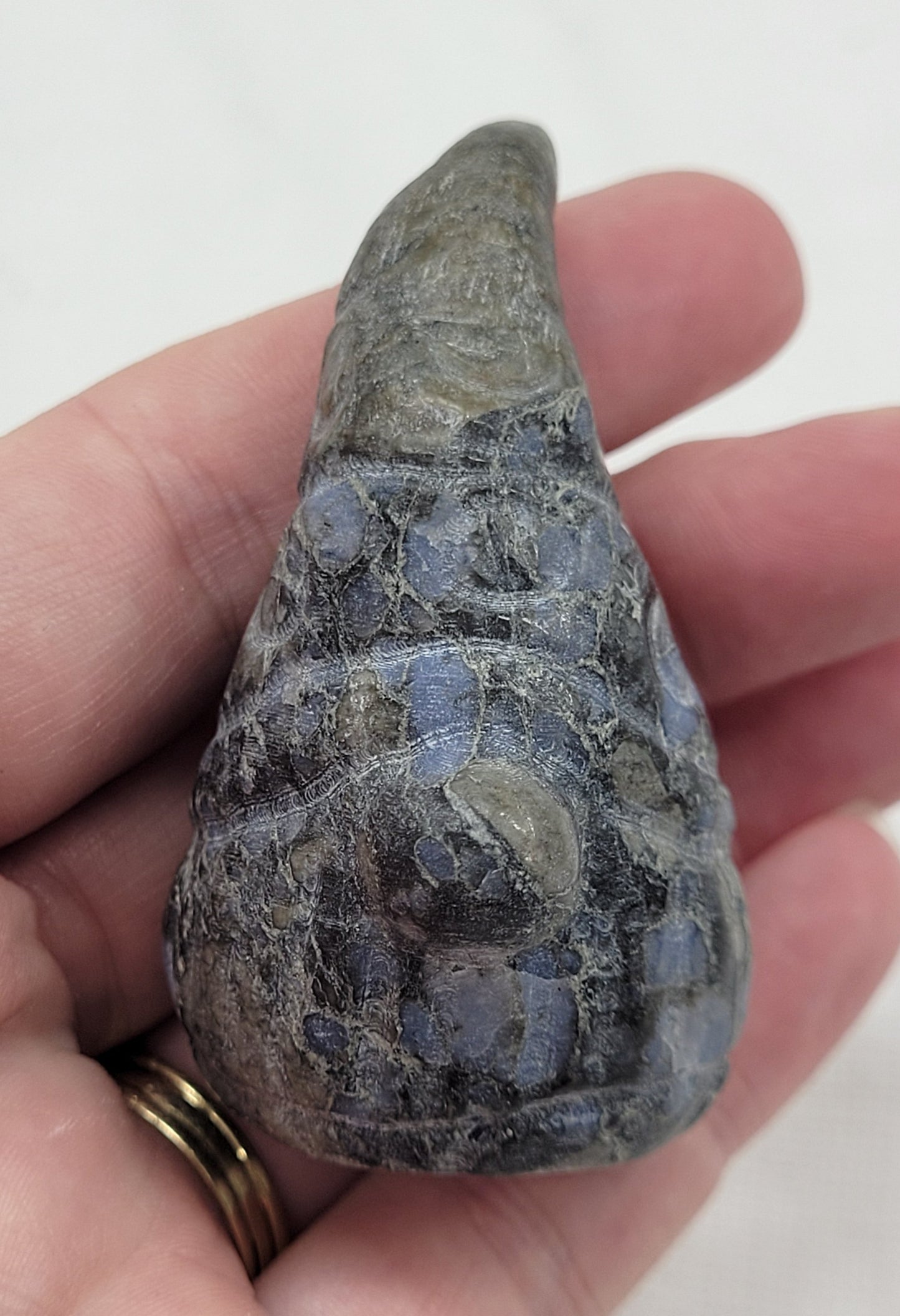 Gnomes (M) - variety of material