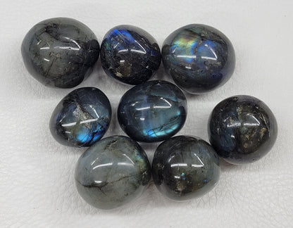 A collection of polished Labradorite tumbles with varying colors including blue, green, yellow, and purple.