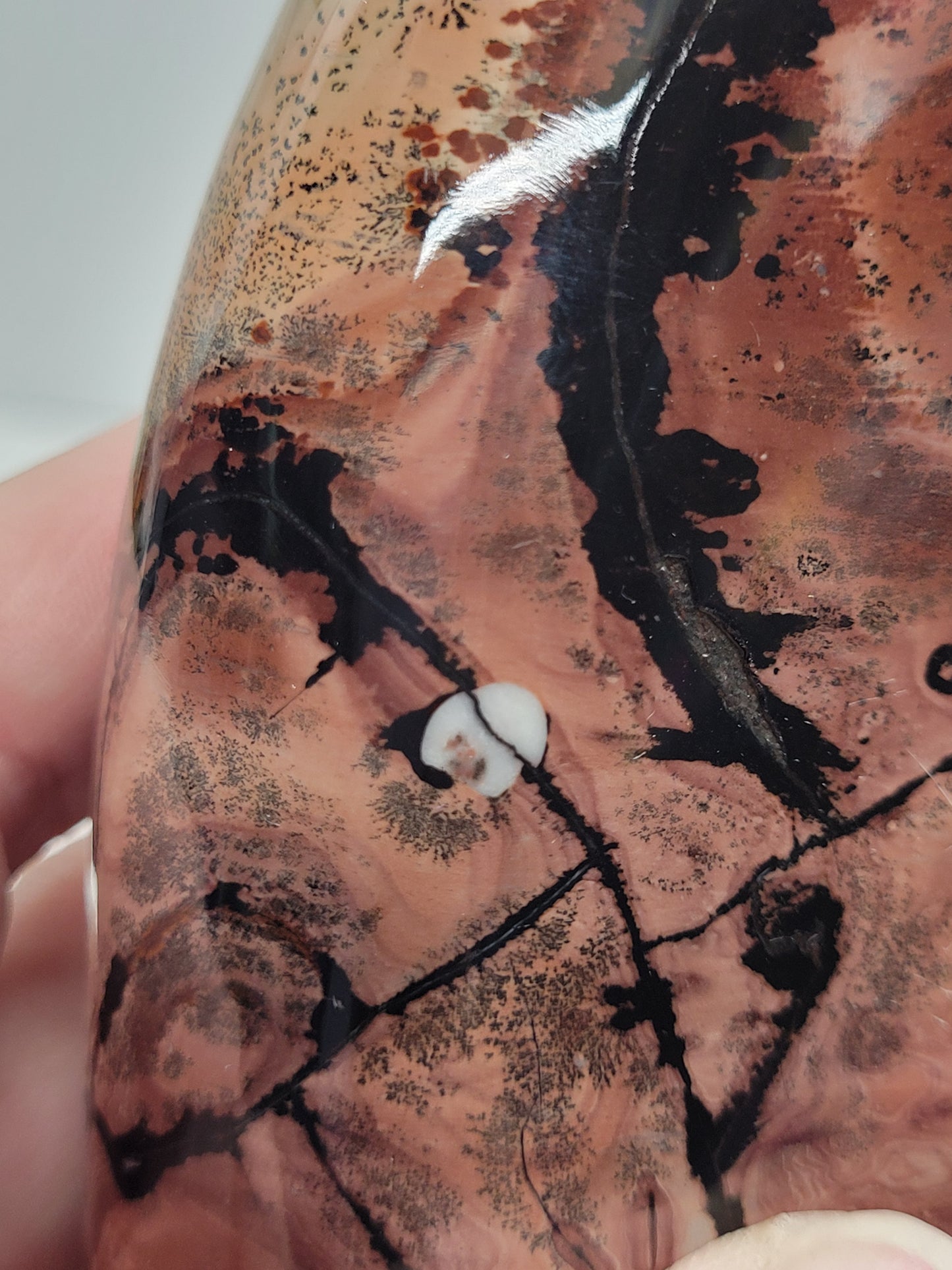 Picture Jasper free form