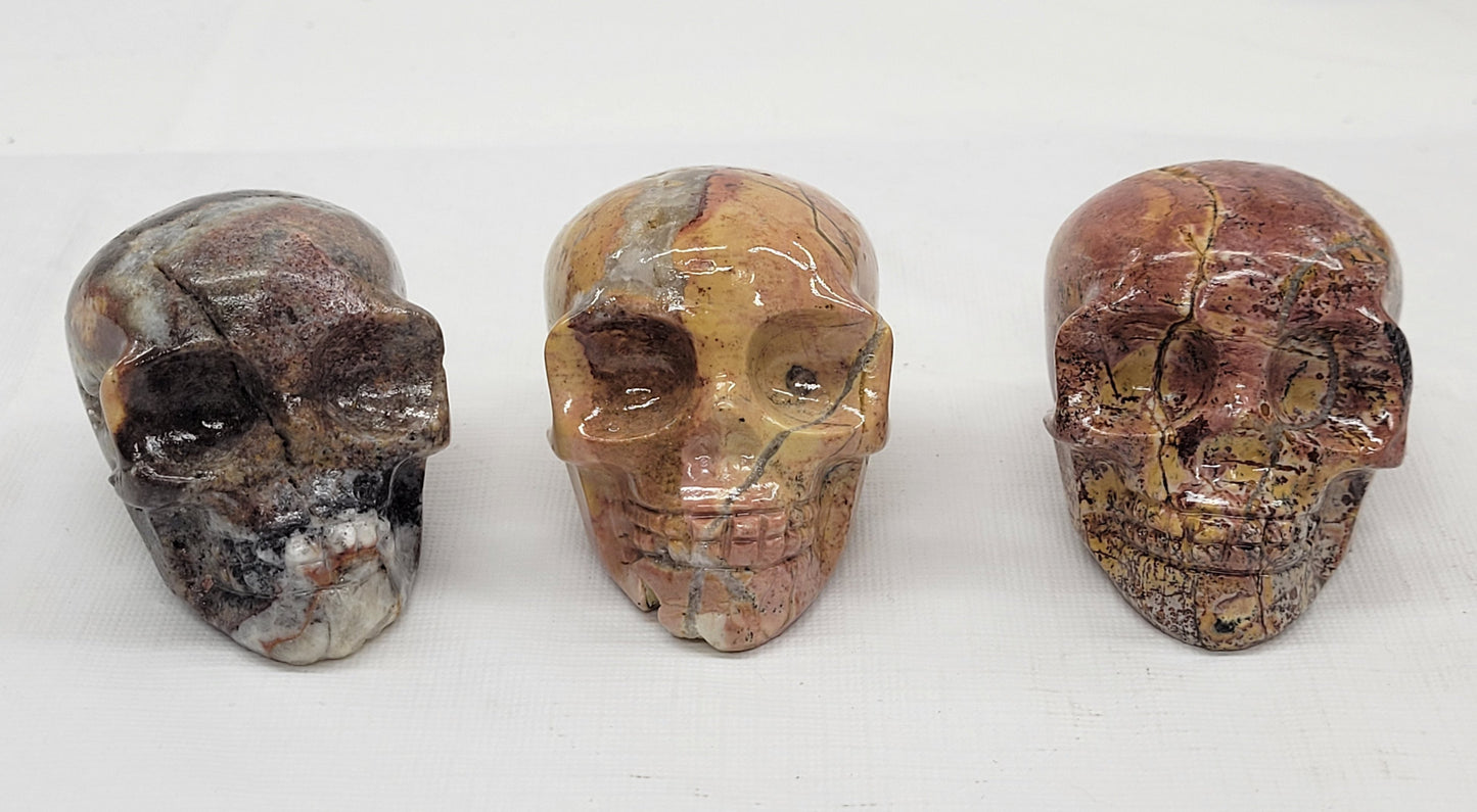 Skull small/medium - Picture Jasper