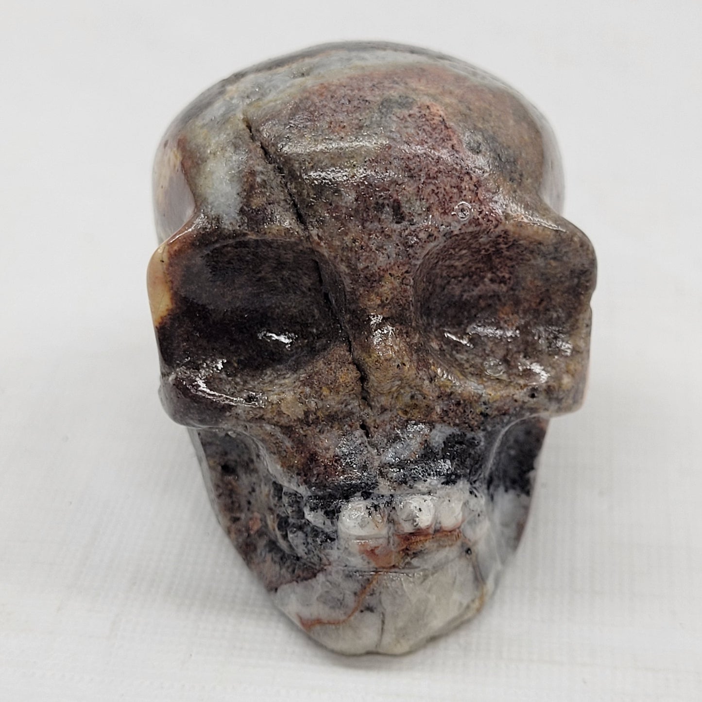 Skull small/medium - Picture Jasper