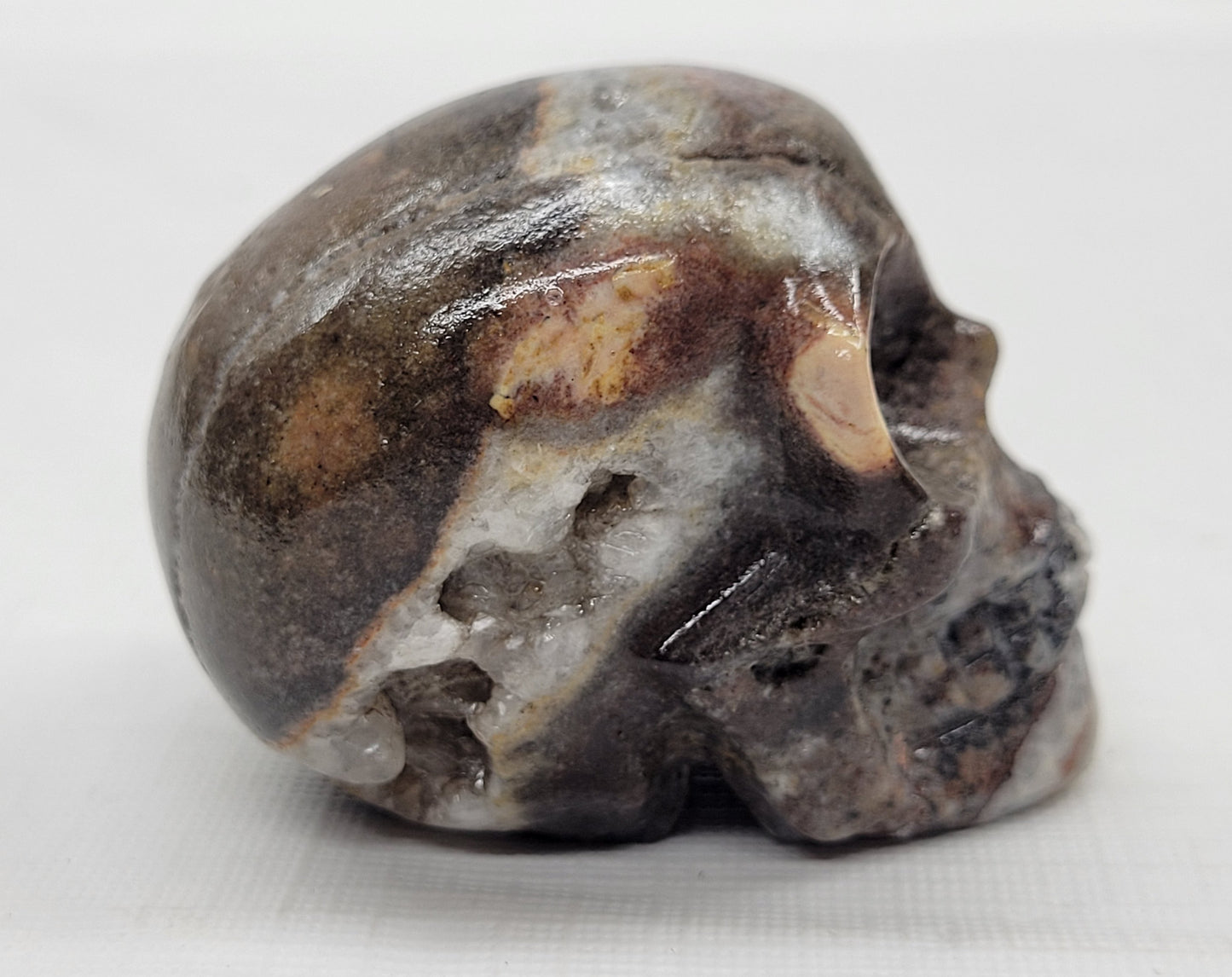 Skull small/medium - Picture Jasper