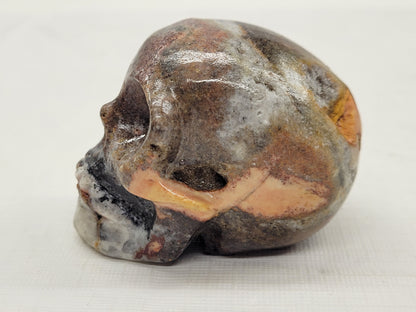 Skull small/medium - Picture Jasper