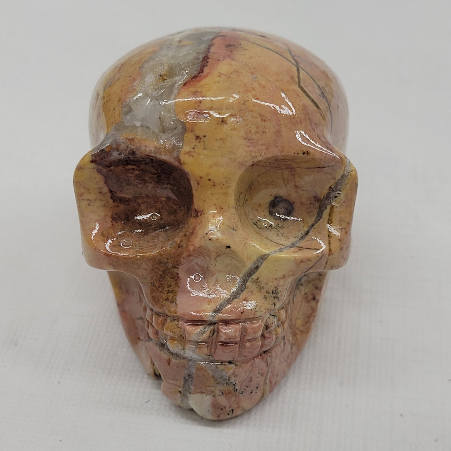 Skull small/medium - Picture Jasper