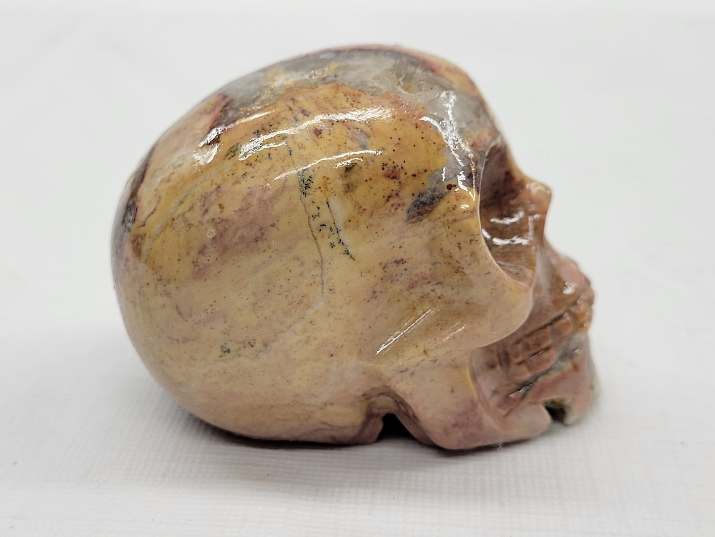 Skull small/medium - Picture Jasper