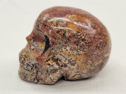 Skull small/medium - Picture Jasper