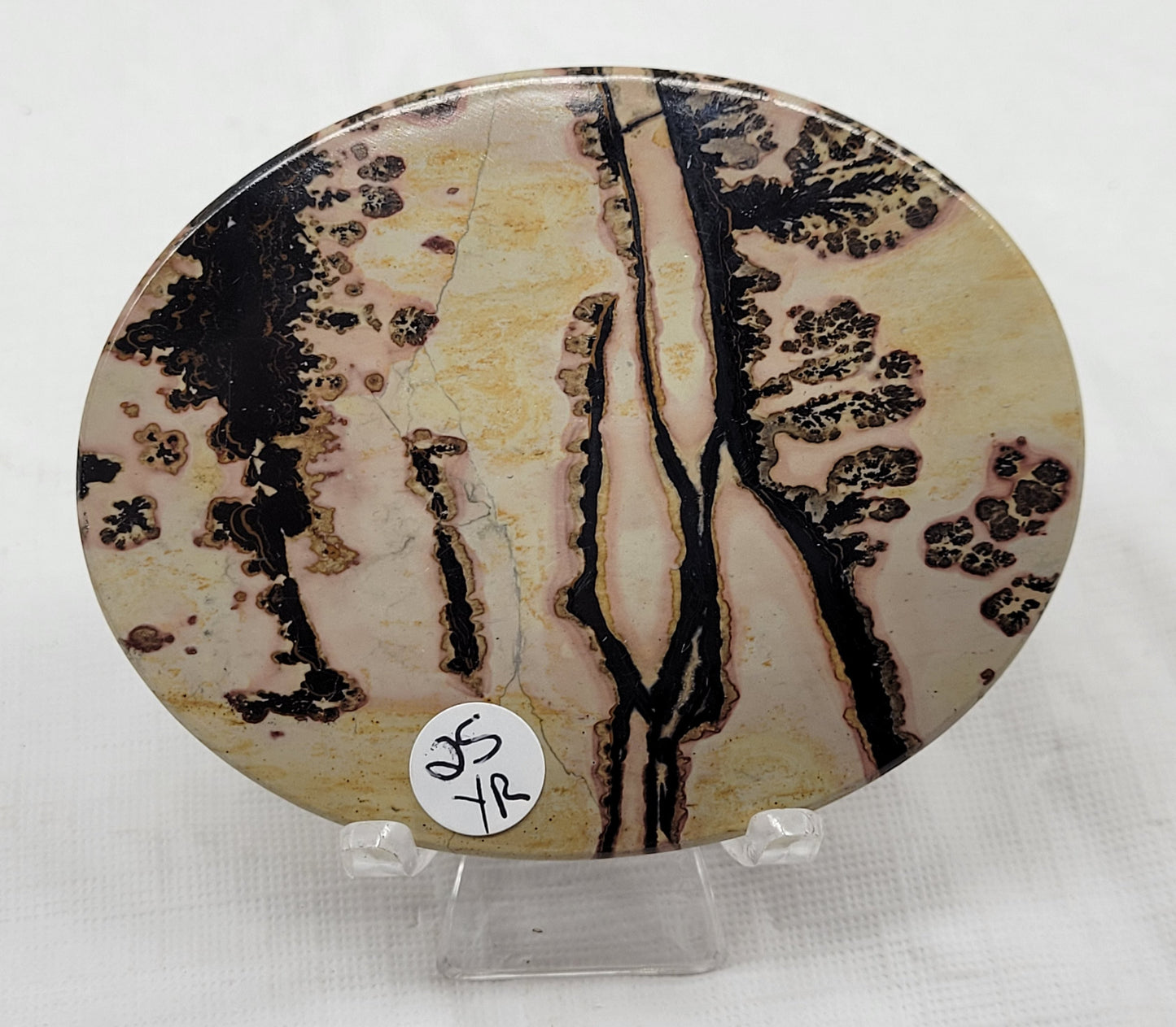 Picture Jasper oval coaster