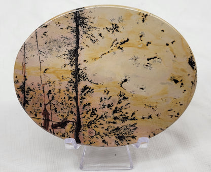 Picture Jasper oval coaster