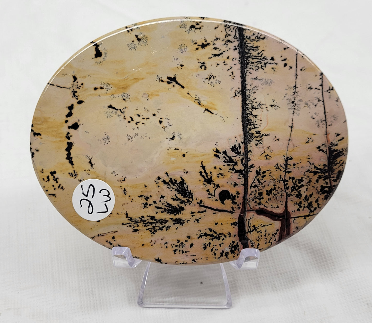 Picture Jasper oval coaster