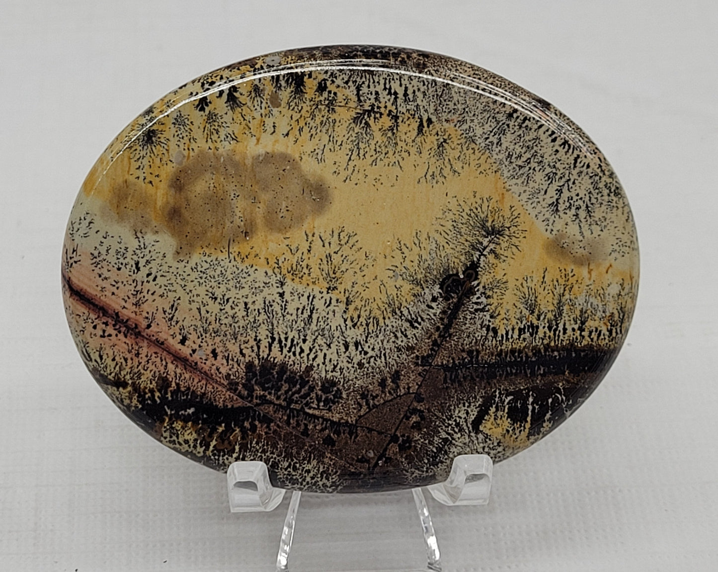 Picture Jasper oval coin