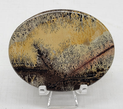 Picture Jasper oval coin