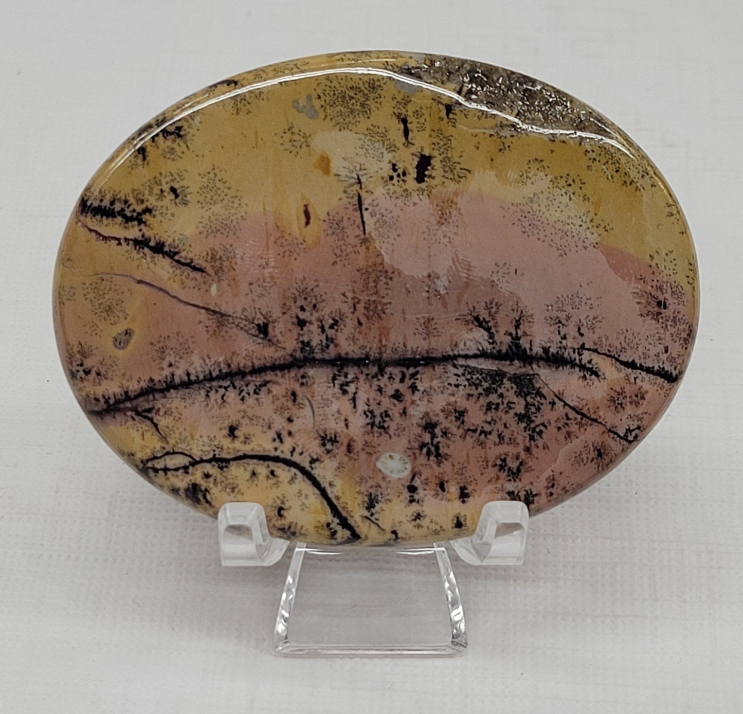 Picture Jasper oval coin