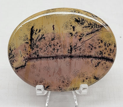 Picture Jasper oval coin