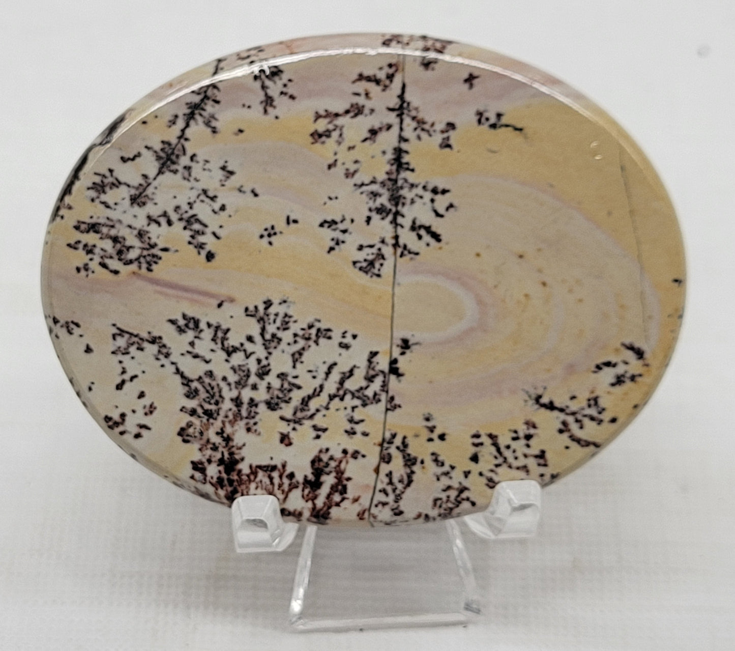 Picture Jasper oval coin