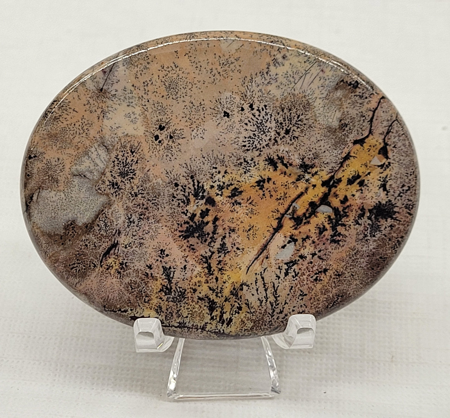 Picture Jasper oval coin