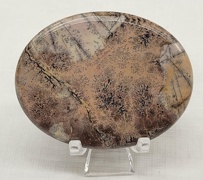 Picture Jasper oval coin