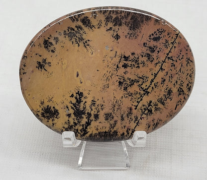 Picture Jasper oval coin