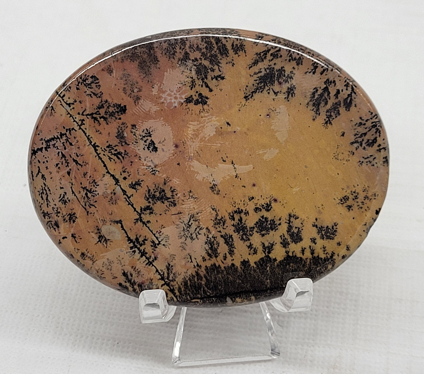 Picture Jasper oval coin