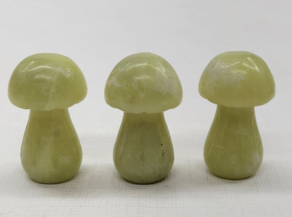 Mushroom carvings (small)