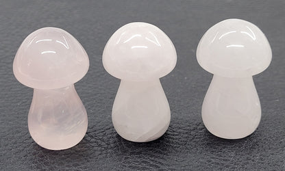 Mushroom carvings (small)