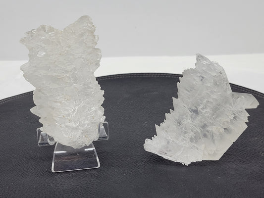 Angel Wing Selenite