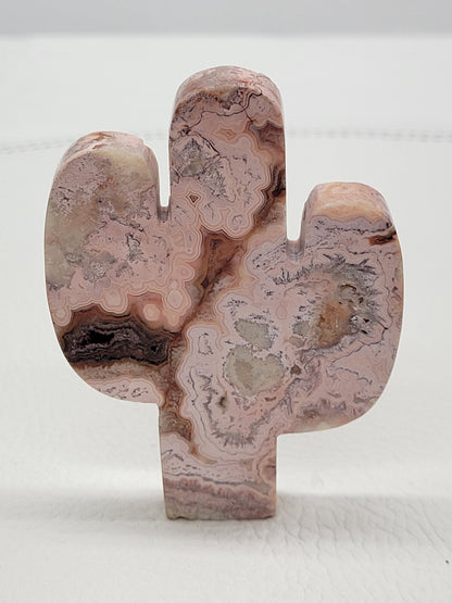 Cactus  - Pink Crazy Lace Agate