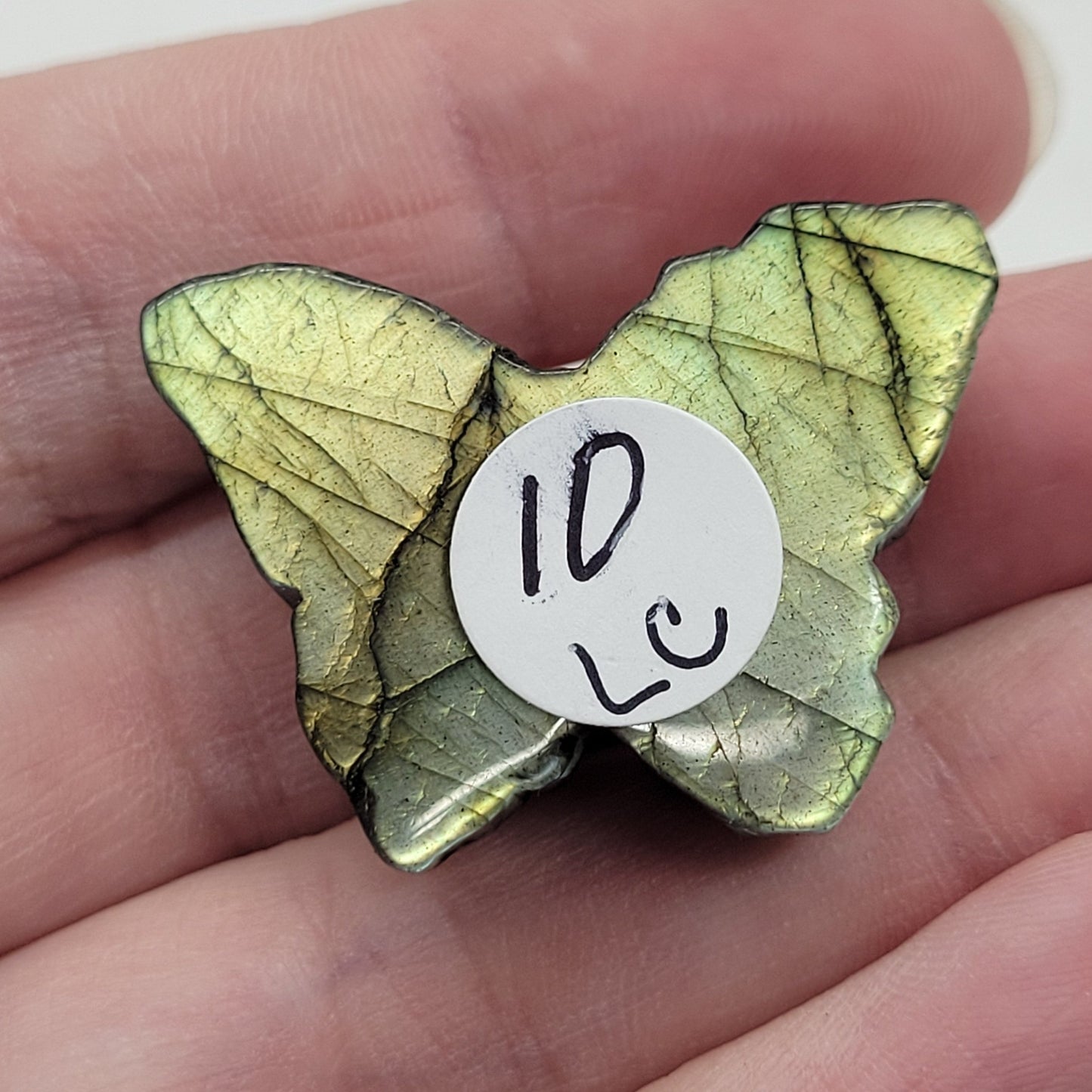 Butterfly w/ flowers (small)