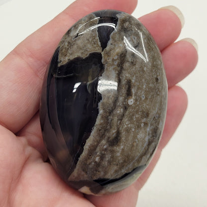 Volcano Agate palm