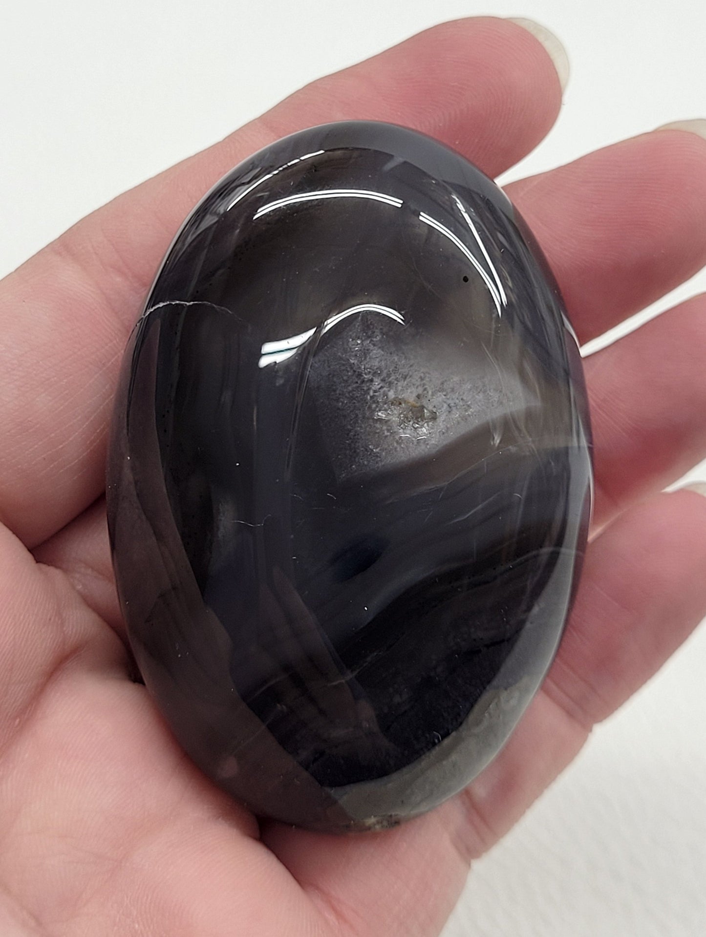 Volcano Agate palm