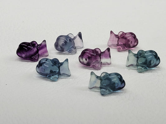 Fluorite mini - Dolphin