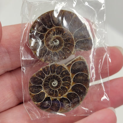 Ammonite split pairs